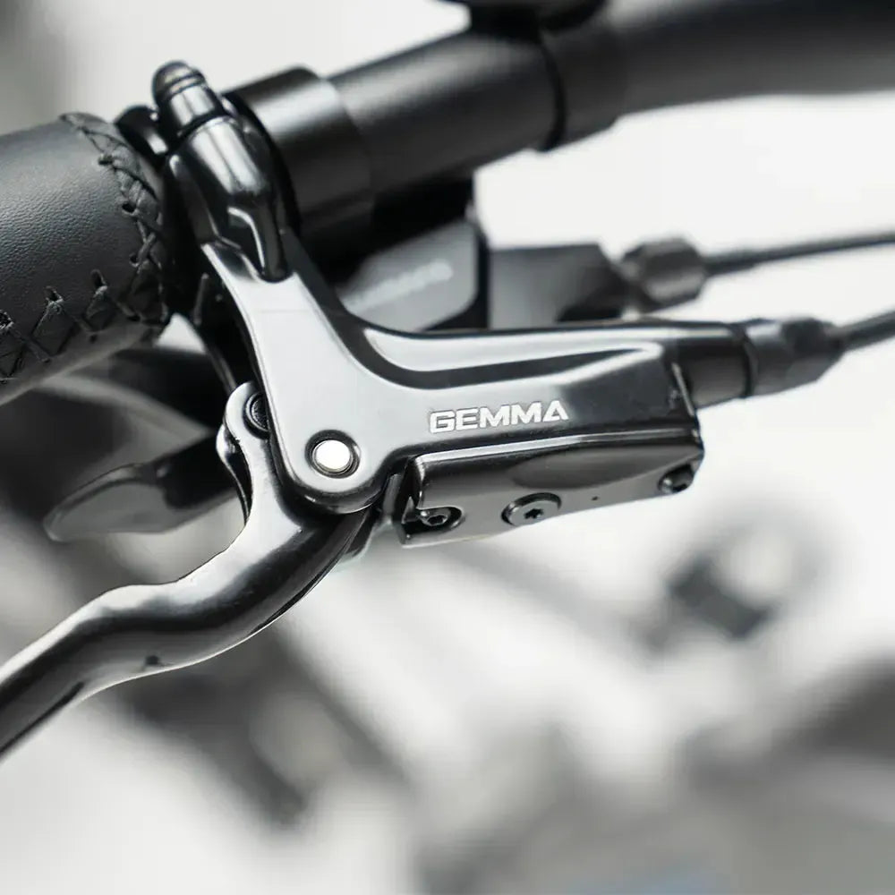 JOBOBIKE Romer Pro - Γκρι