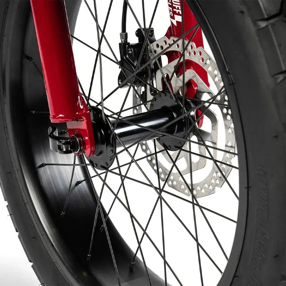 Ruff Cycles Lil'Missy - Κίσσι