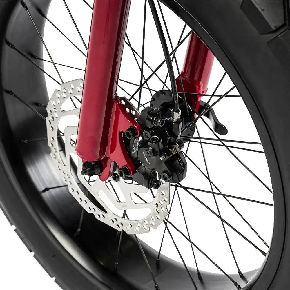 Ruff Cycles Lil'Missy - Κίσσι