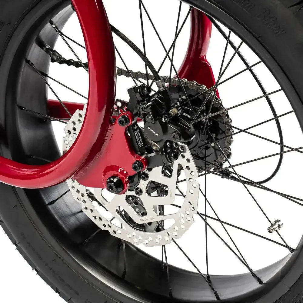 Ruff Cycles Lil'Missy - Κίσσι