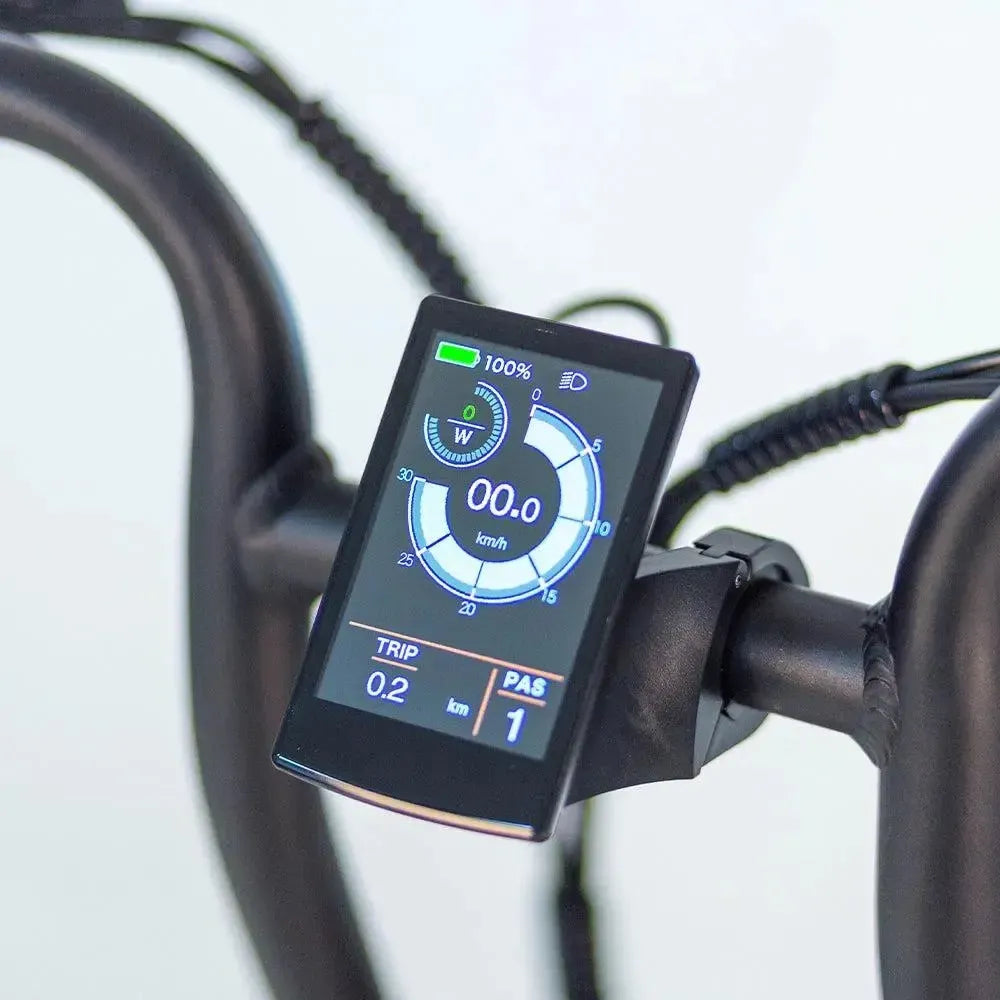 Τομος Φλέξερ - Μαύρο